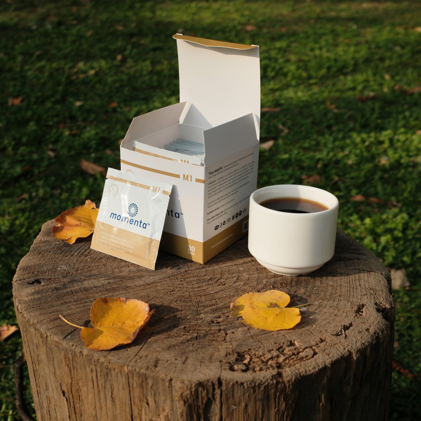 Momenta M1 | Aslan Yelesi Mantarı, N-Asetil Tirozin, L-Karnitin | Nörotransmitter İşlevini Destekleyen Kompleks